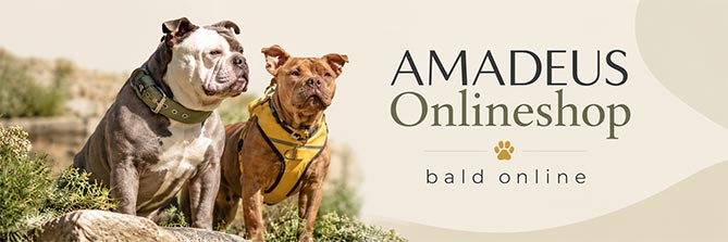 Amadeus Onlineshop – bald online